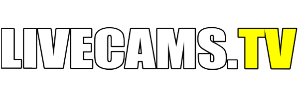 Livecams.TV - 24h geilste Livecam-Action mit Chat