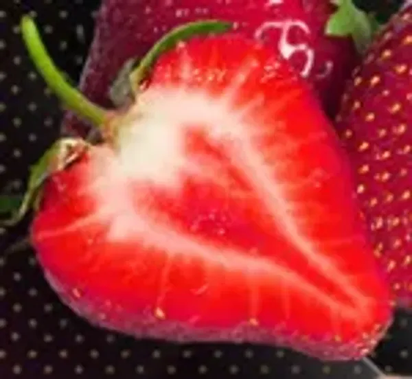 Strawxsberry