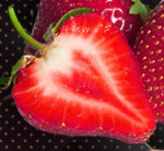 StrawXSberry
